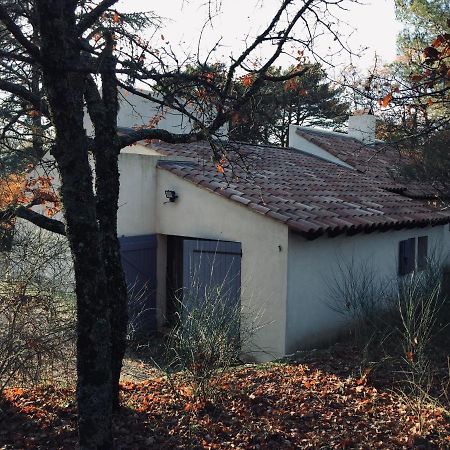 La Maison De Mado Et Sa Cabane Dans Les Arbres Plan d'Aups Esterno foto