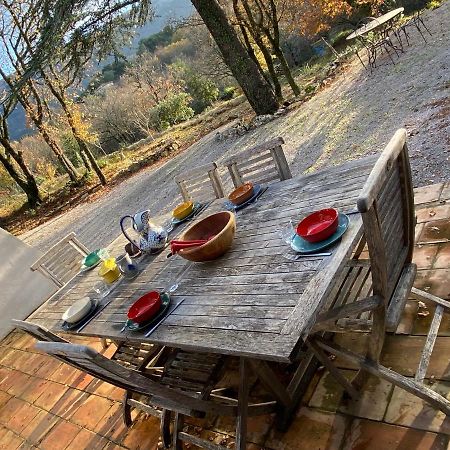La Maison De Mado Et Sa Cabane Dans Les Arbres Plan d'Aups Esterno foto