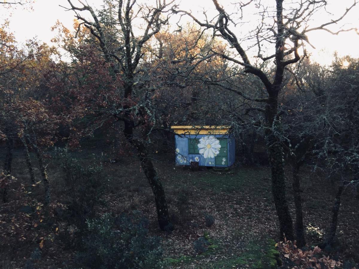 La Maison De Mado Et Sa Cabane Dans Les Arbres Plan d'Aups Esterno foto
