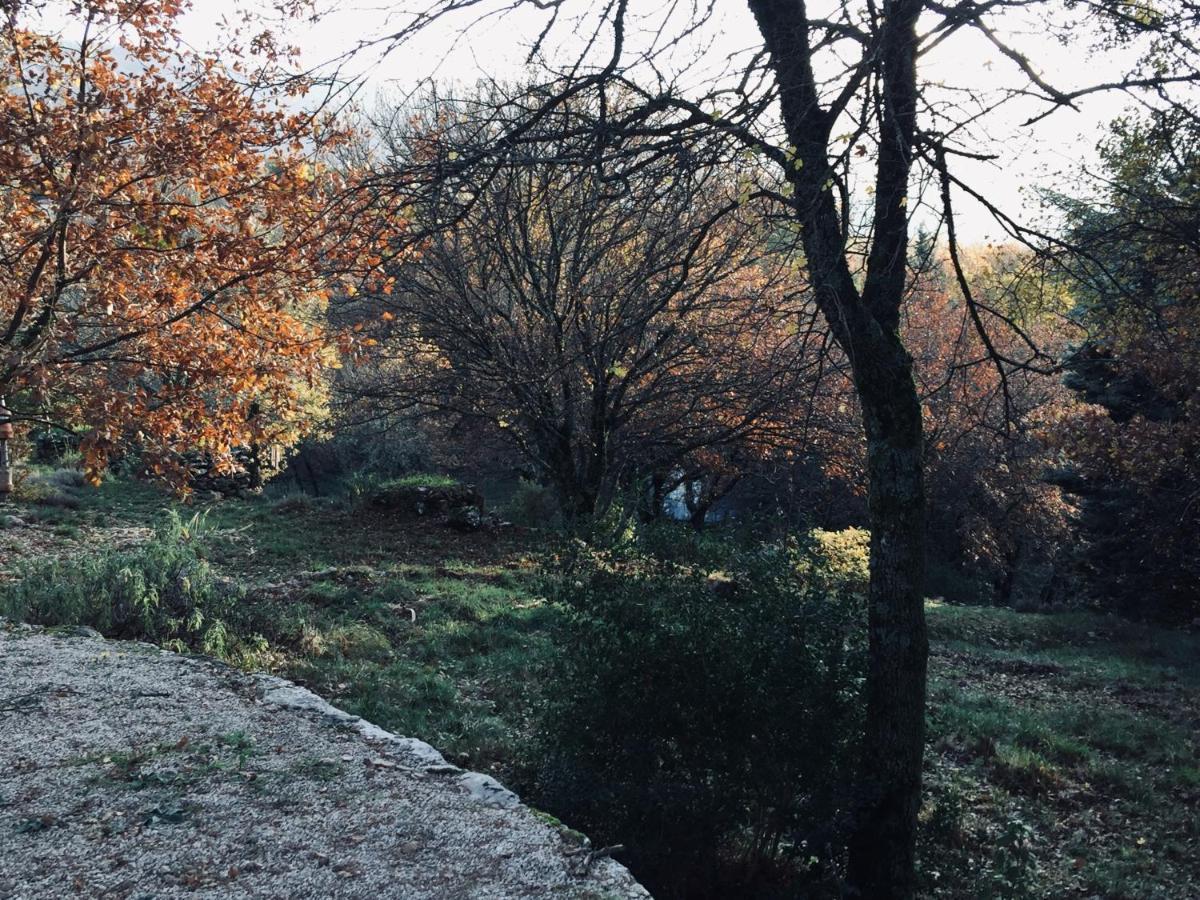La Maison De Mado Et Sa Cabane Dans Les Arbres Plan d'Aups Esterno foto