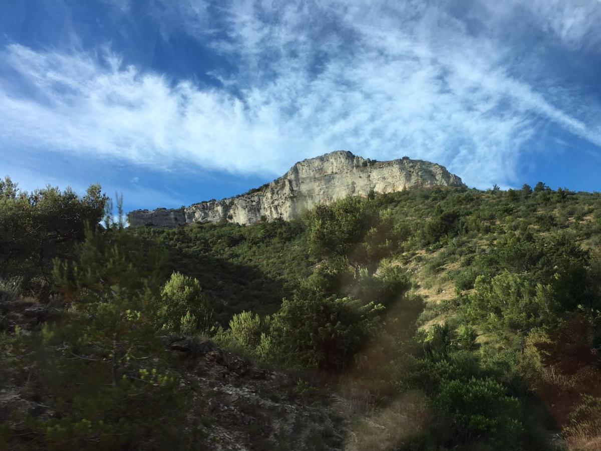 La Maison De Mado Et Sa Cabane Dans Les Arbres Plan d'Aups Esterno foto